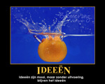 poster van manderijn in water