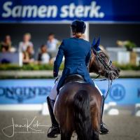 Paardensport dressuur