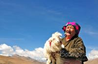 dame met angora schaap in Tibet
