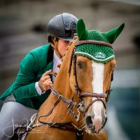 Paardensport springen tijdens CHIO in Rotterdam